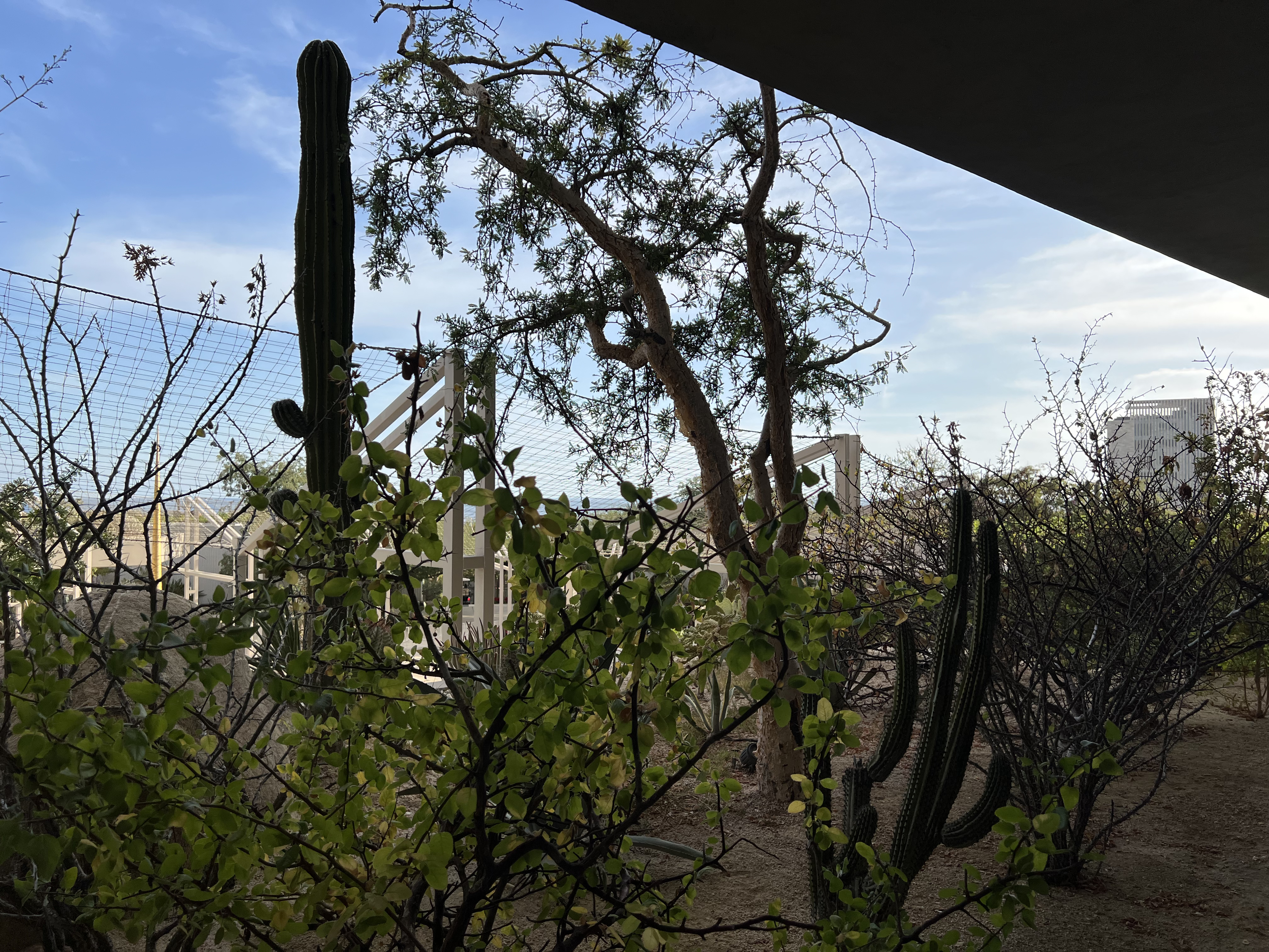 ./2024/13 - Cabo/IMG_4137.jpg